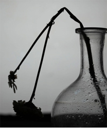 Come elaborare lutto