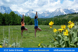 Weekend Yoga & benessere nella natura Weekend Yoga & benessere nella natura