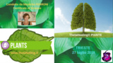 ThetaHealing® piante ThetaHealing® piante