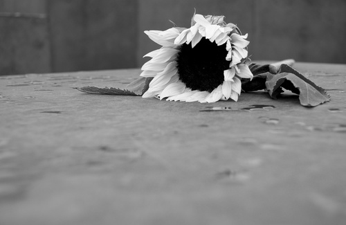 depressione incapacità di prendere decisioni depressione incapacità di prendere decisioni