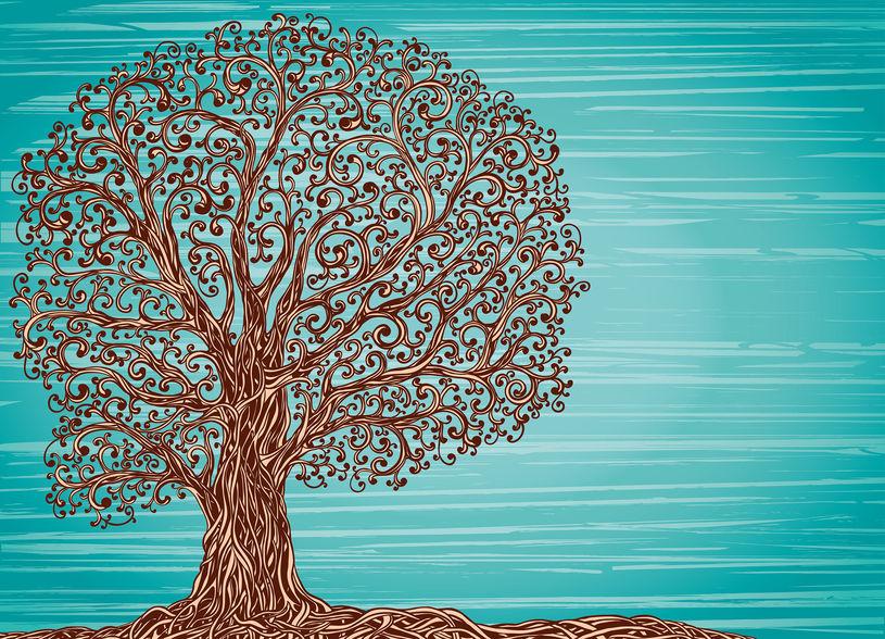 Genogramma, albero genealogico Genogramma, albero genealogico