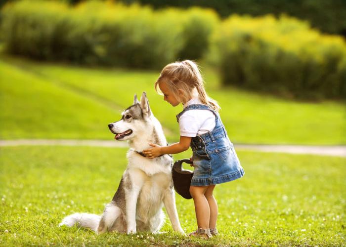 se-tuo-figlio-vuole-adottare-un-cane